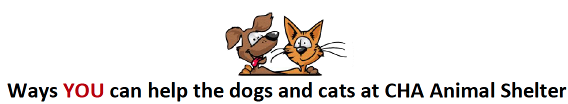 Help the Dogs and Cats at CHA